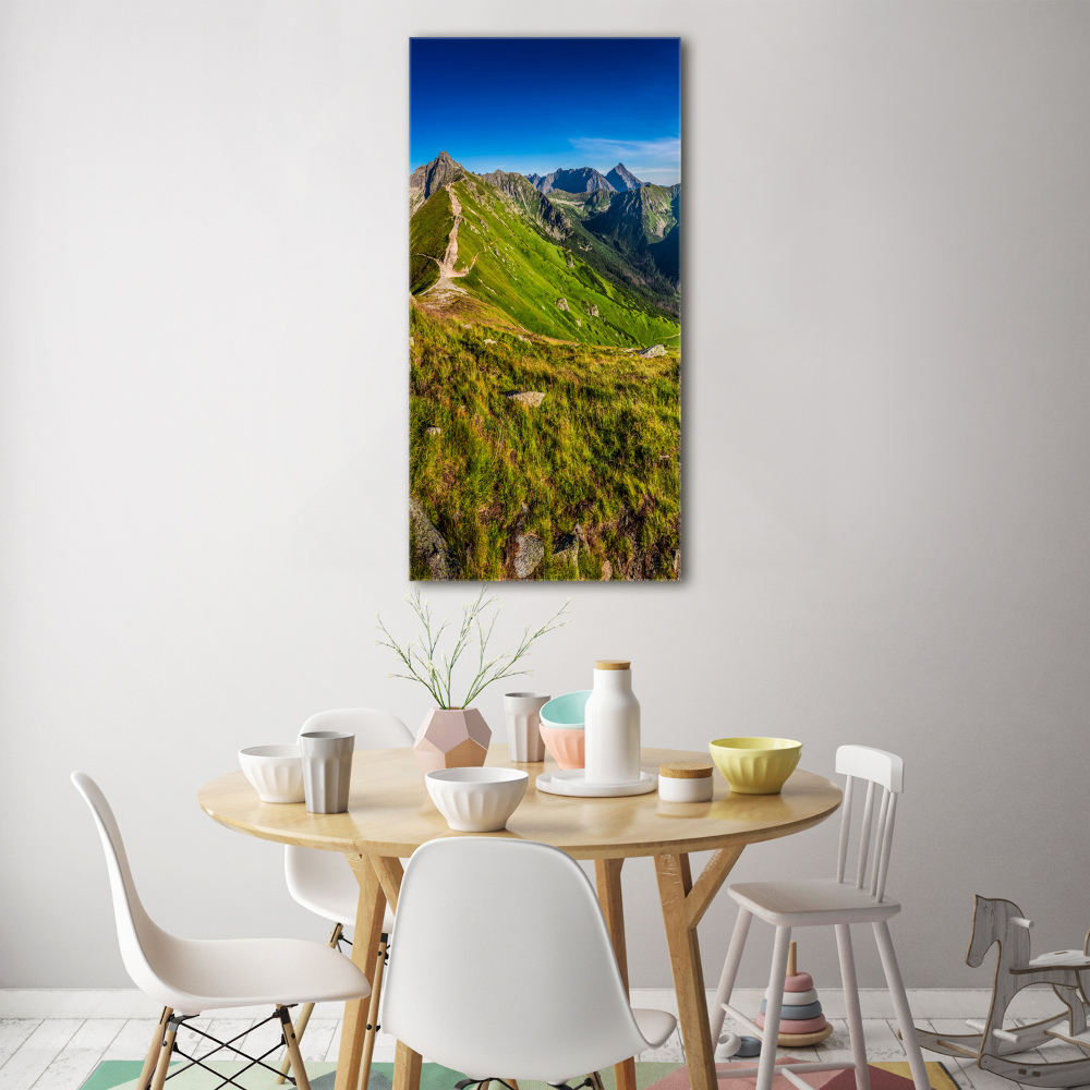 Acrylic wall art Tatra Mountains