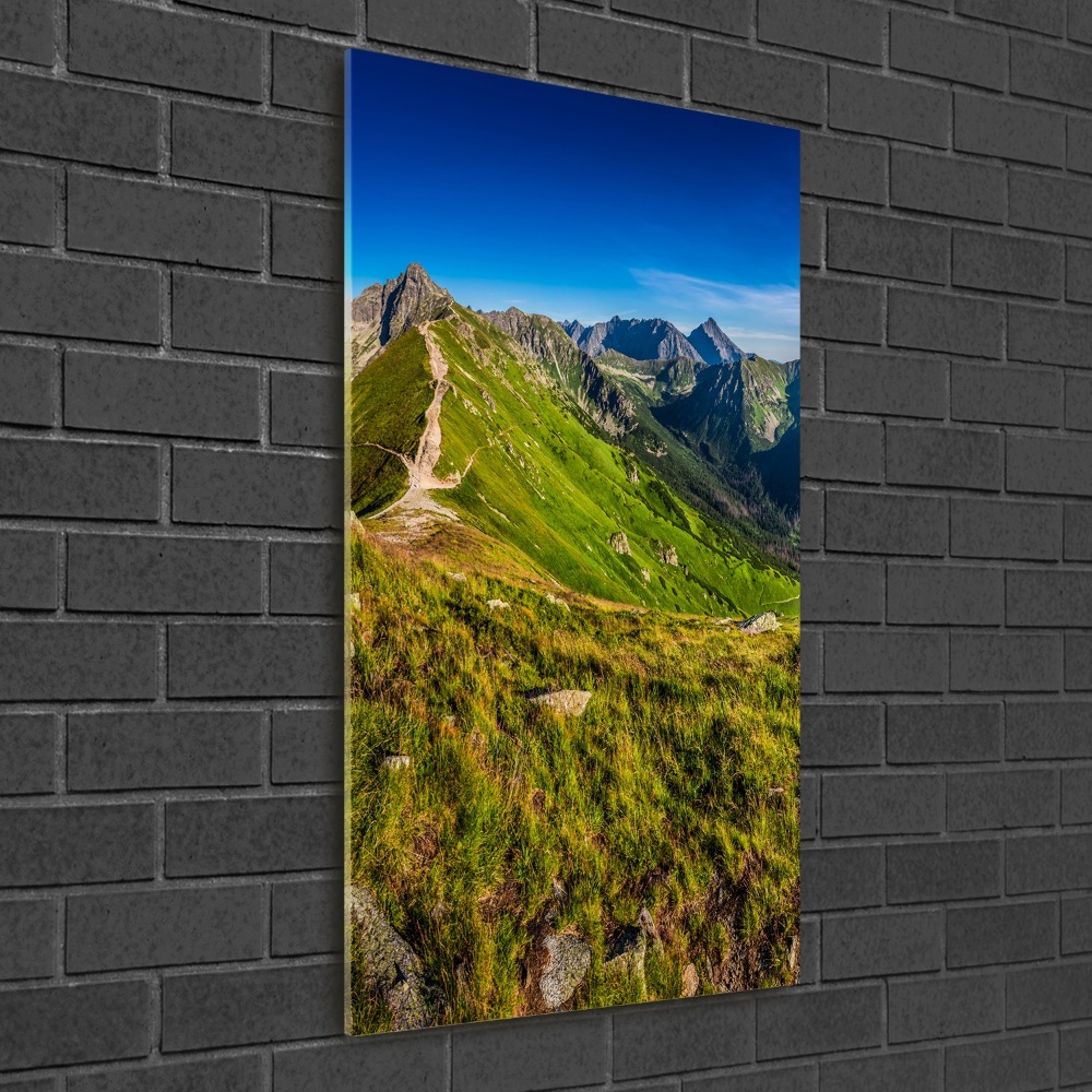 Acrylic wall art Tatra Mountains