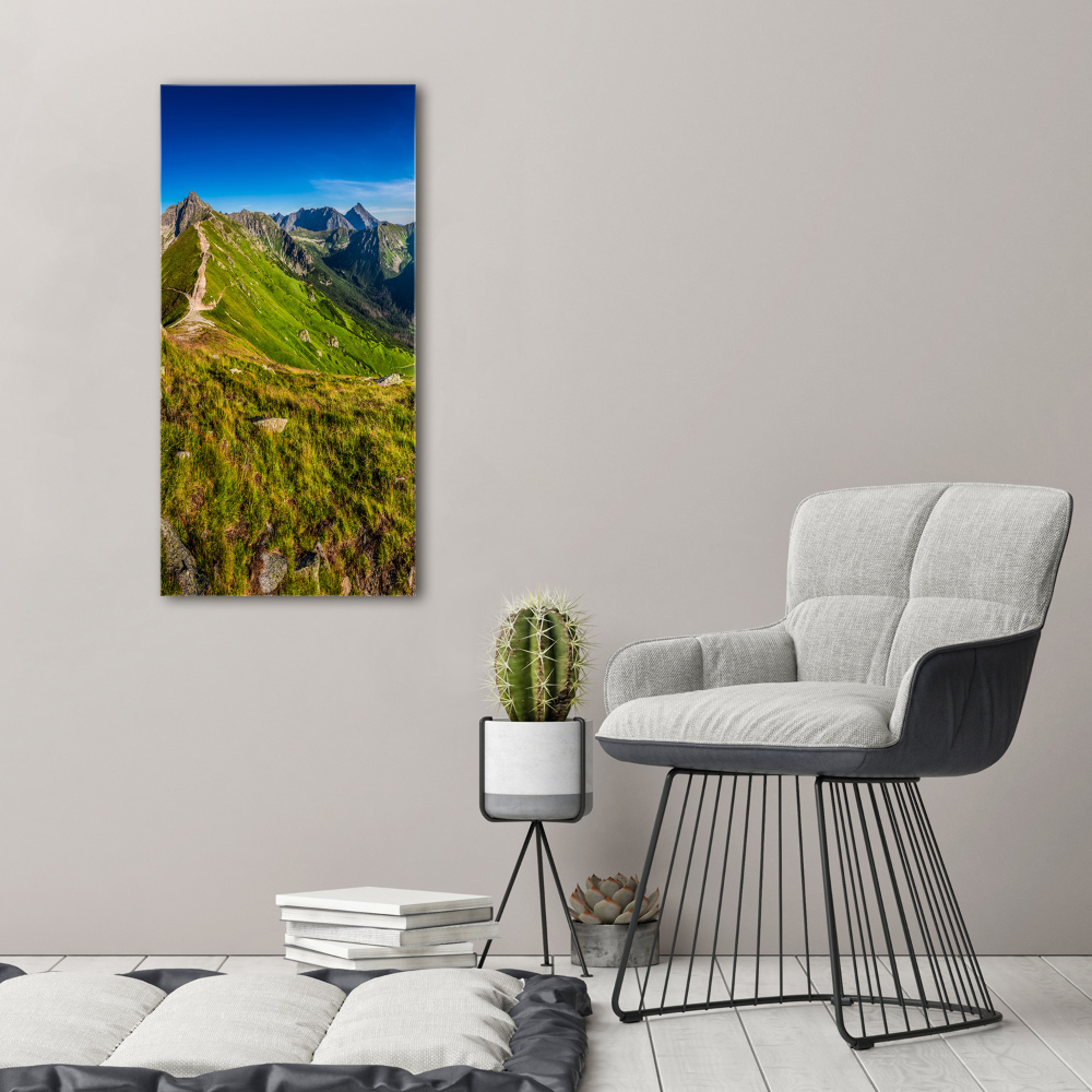 Acrylic wall art Tatra Mountains