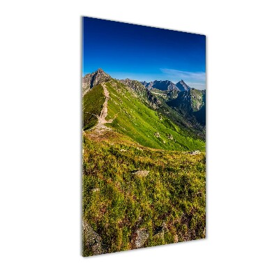 Acrylic wall art Tatra Mountains