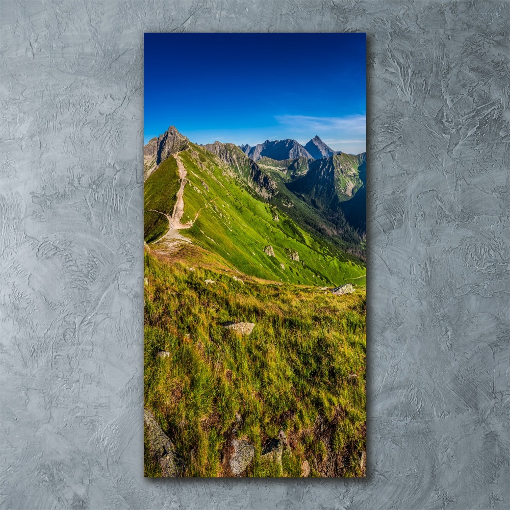 Acrylic wall art Tatra Mountains