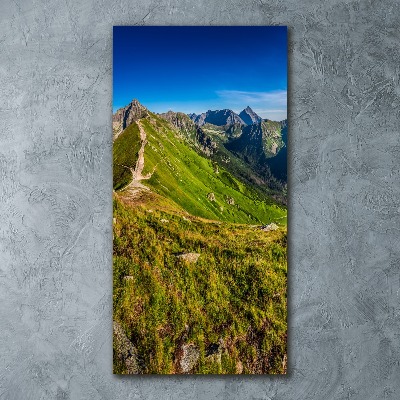 Acrylic wall art Tatra Mountains