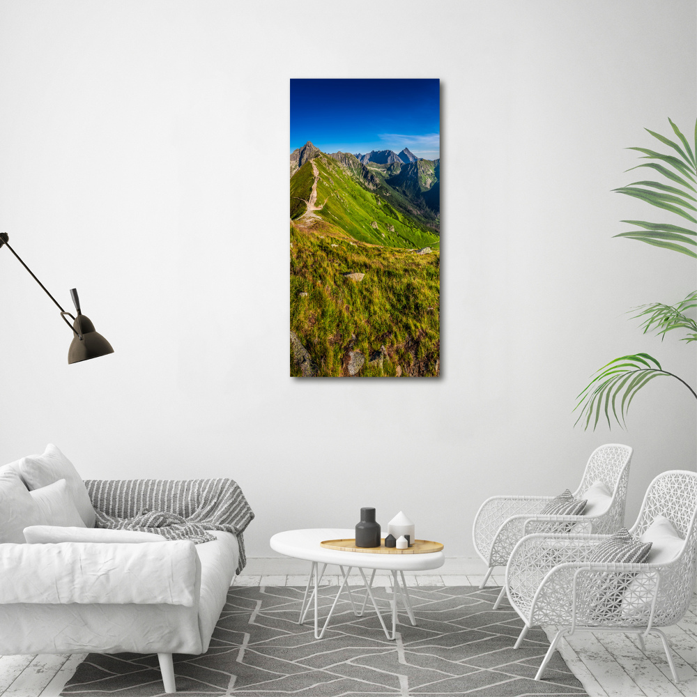 Acrylic wall art Tatra Mountains