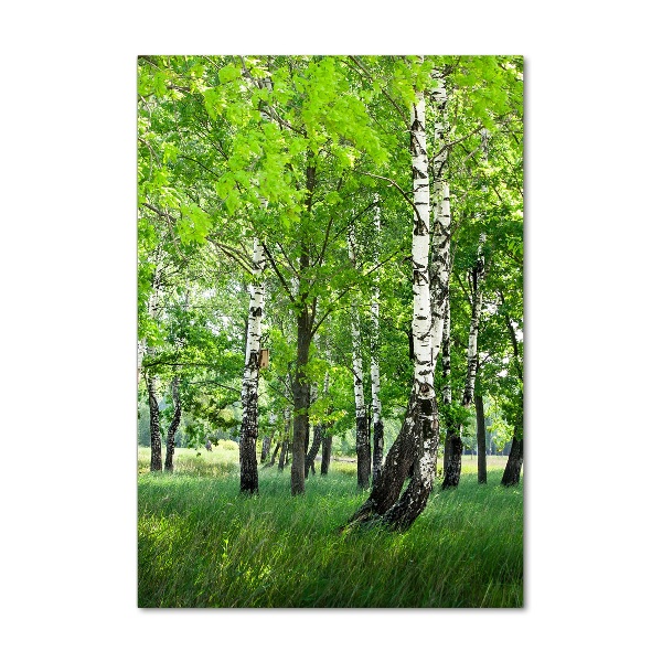 Acrylic wall art Birch forest