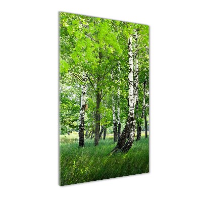 Acrylic wall art Birch forest