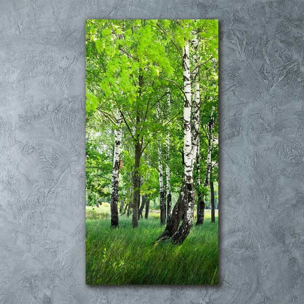 Acrylic wall art Birch forest