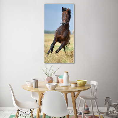 Print on acrylic Horse