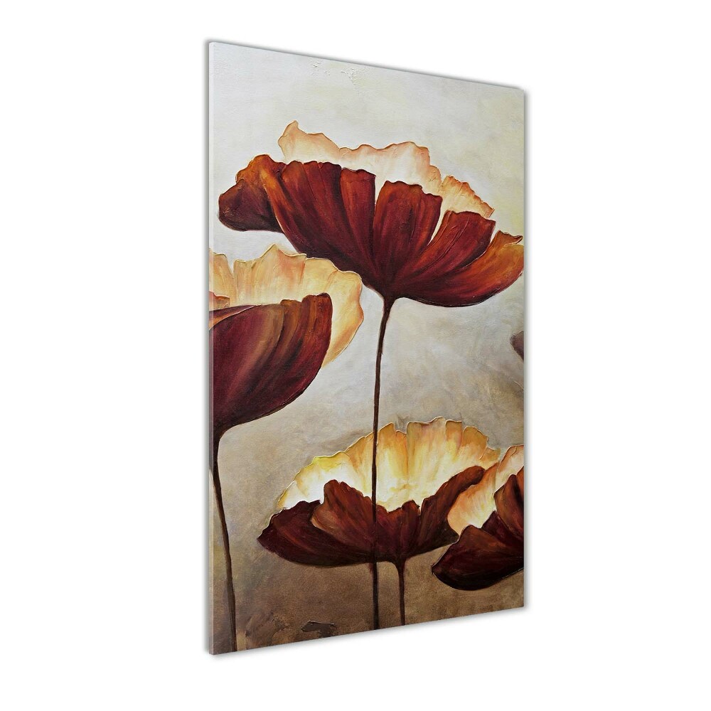 Acrylic wall art Macs