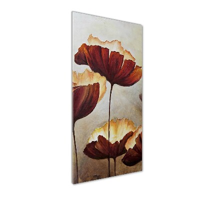 Acrylic wall art Macs