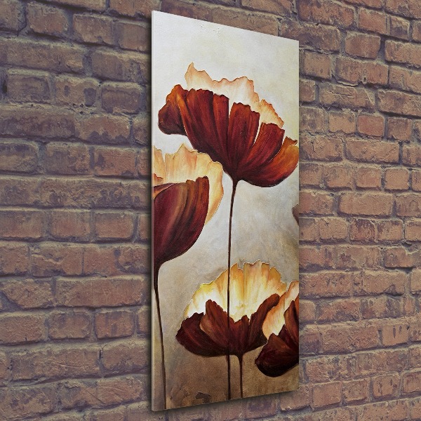 Acrylic wall art Macs