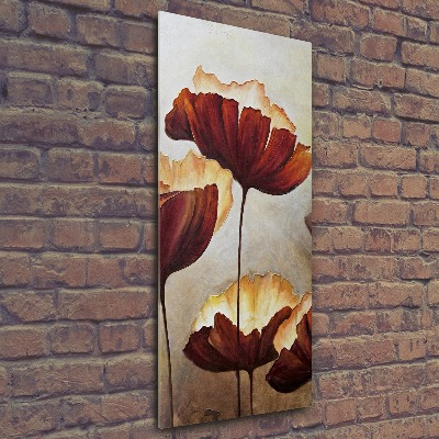 Acrylic wall art Macs