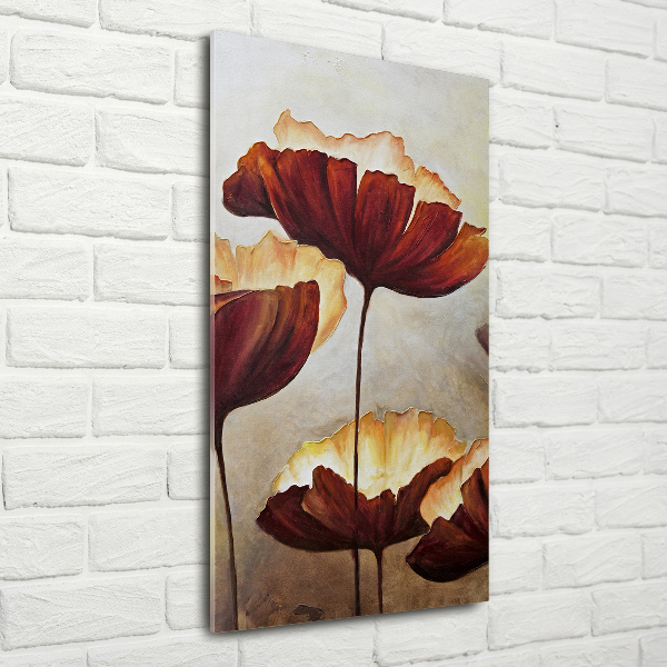 Acrylic wall art Macs