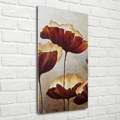 Acrylic wall art Macs