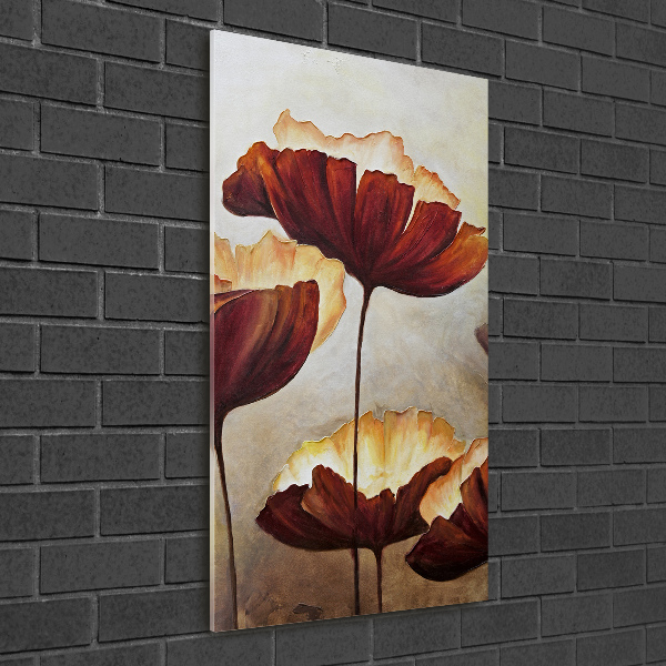 Acrylic wall art Macs