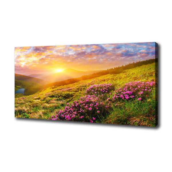 Canvas wall art Sunset of the mountain