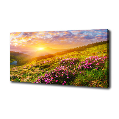 Canvas wall art Sunset of the mountain