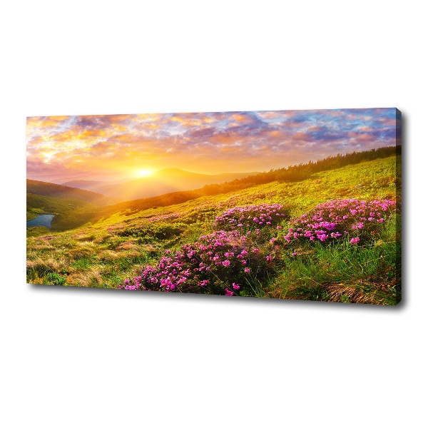 Canvas wall art Sunset of the mountain