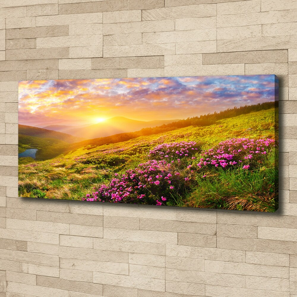 Canvas wall art Sunset of the mountain