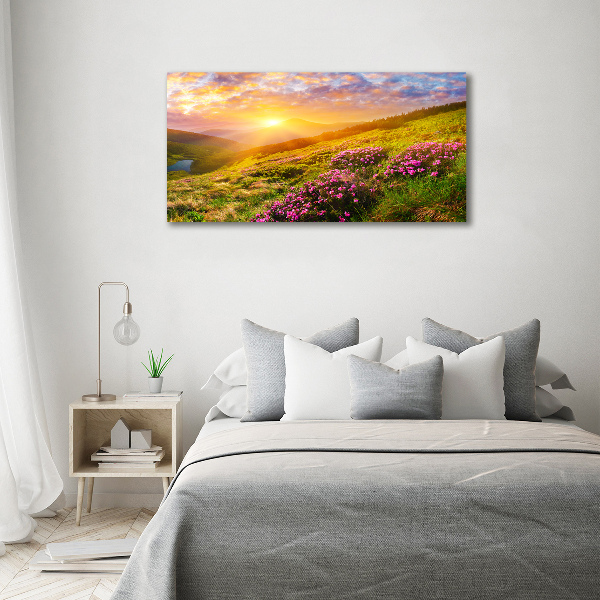 Canvas wall art Sunset of the mountain