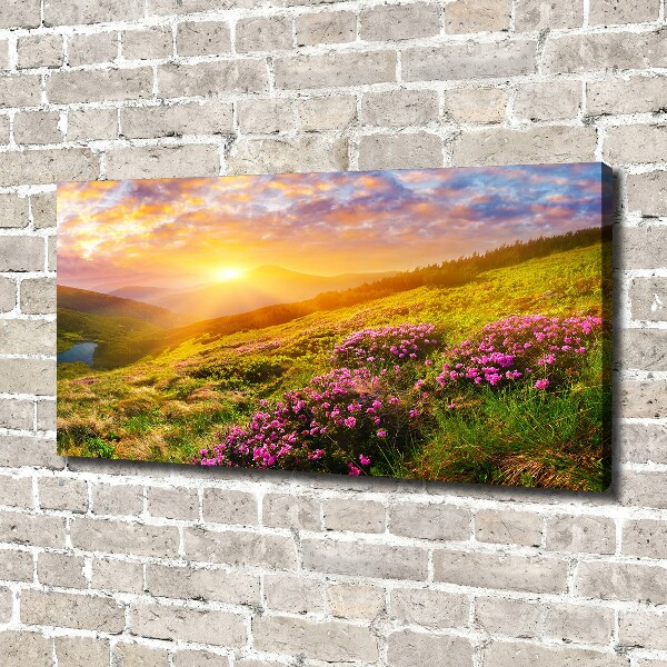 Canvas wall art Sunset of the mountain