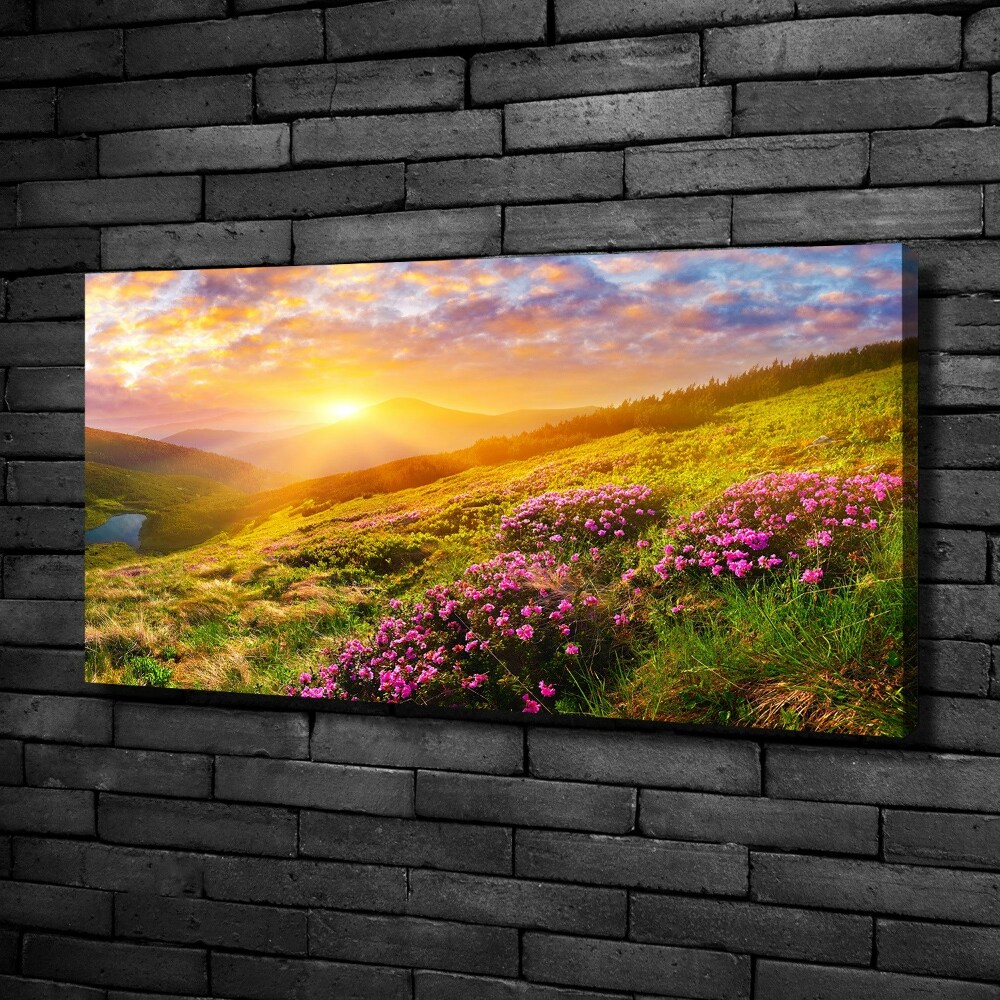 Canvas wall art Sunset of the mountain