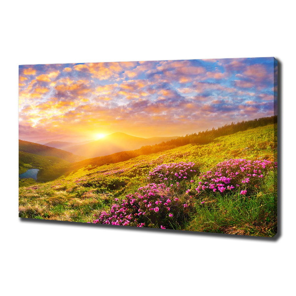 Canvas wall art Sunset of the mountain