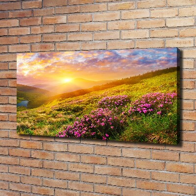 Canvas wall art Sunset of the mountain