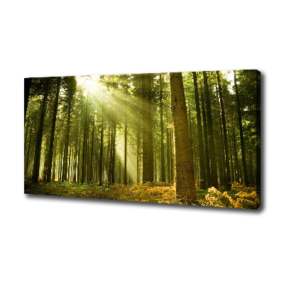 Canvas wall art a pine forest