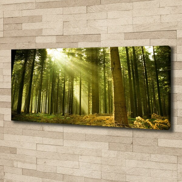 Canvas wall art a pine forest