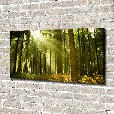 Canvas wall art a pine forest