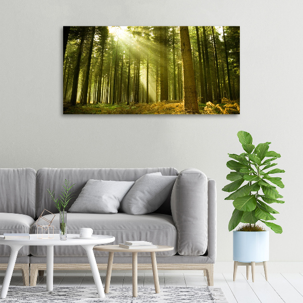 Canvas wall art a pine forest