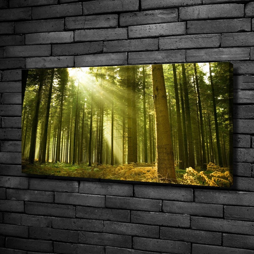 Canvas wall art a pine forest