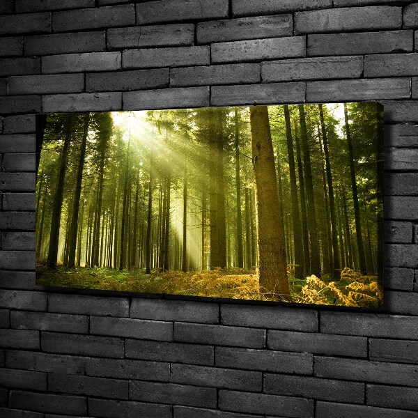 Canvas wall art a pine forest