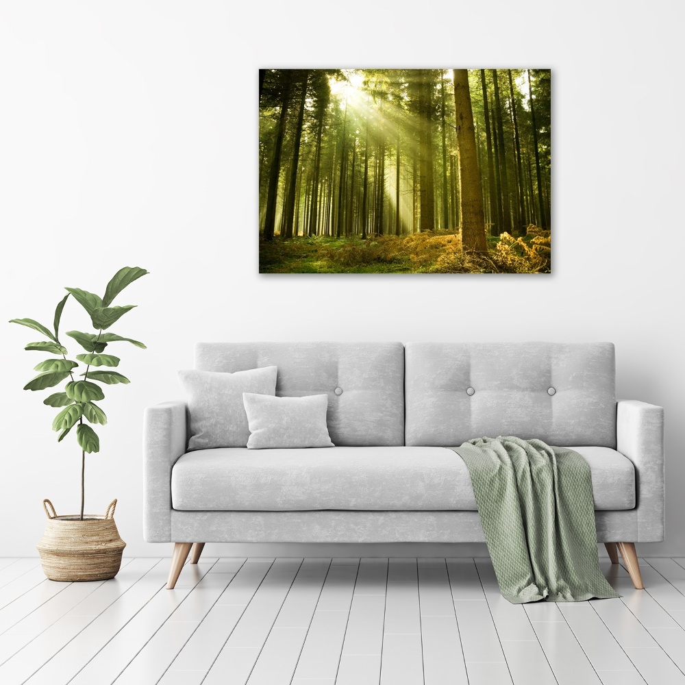 Canvas wall art a pine forest