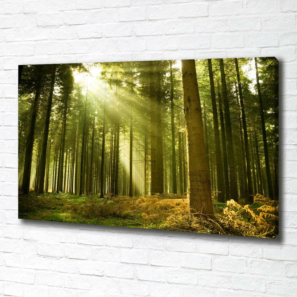 Canvas wall art a pine forest