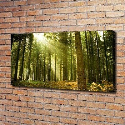 Canvas wall art a pine forest