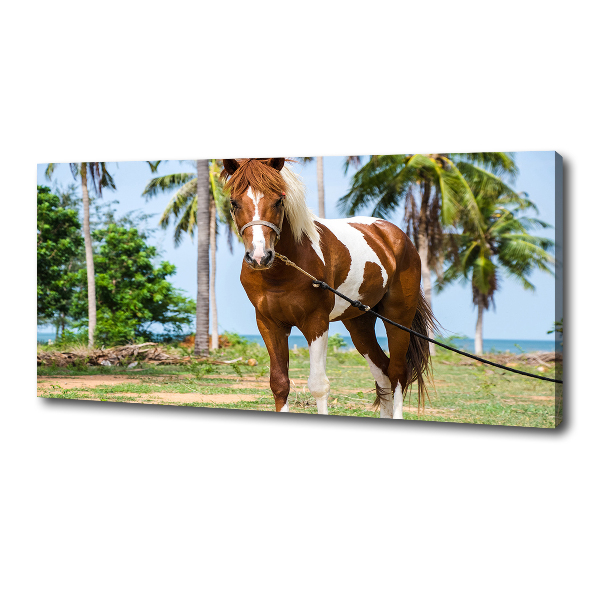 Canvas wall art Spotted horse