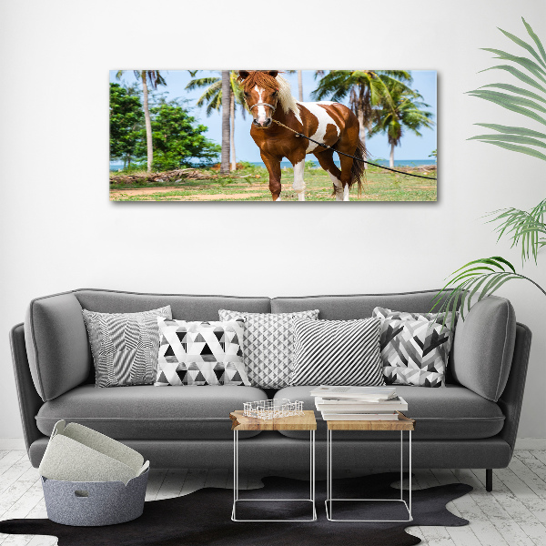 Canvas wall art Spotted horse