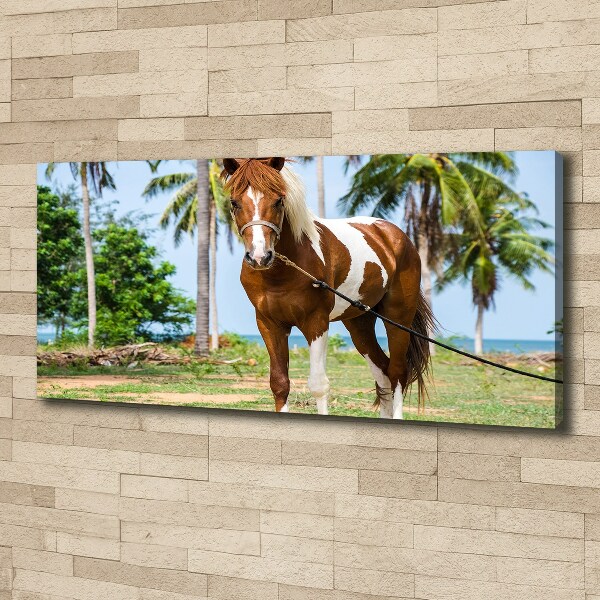 Canvas wall art Spotted horse