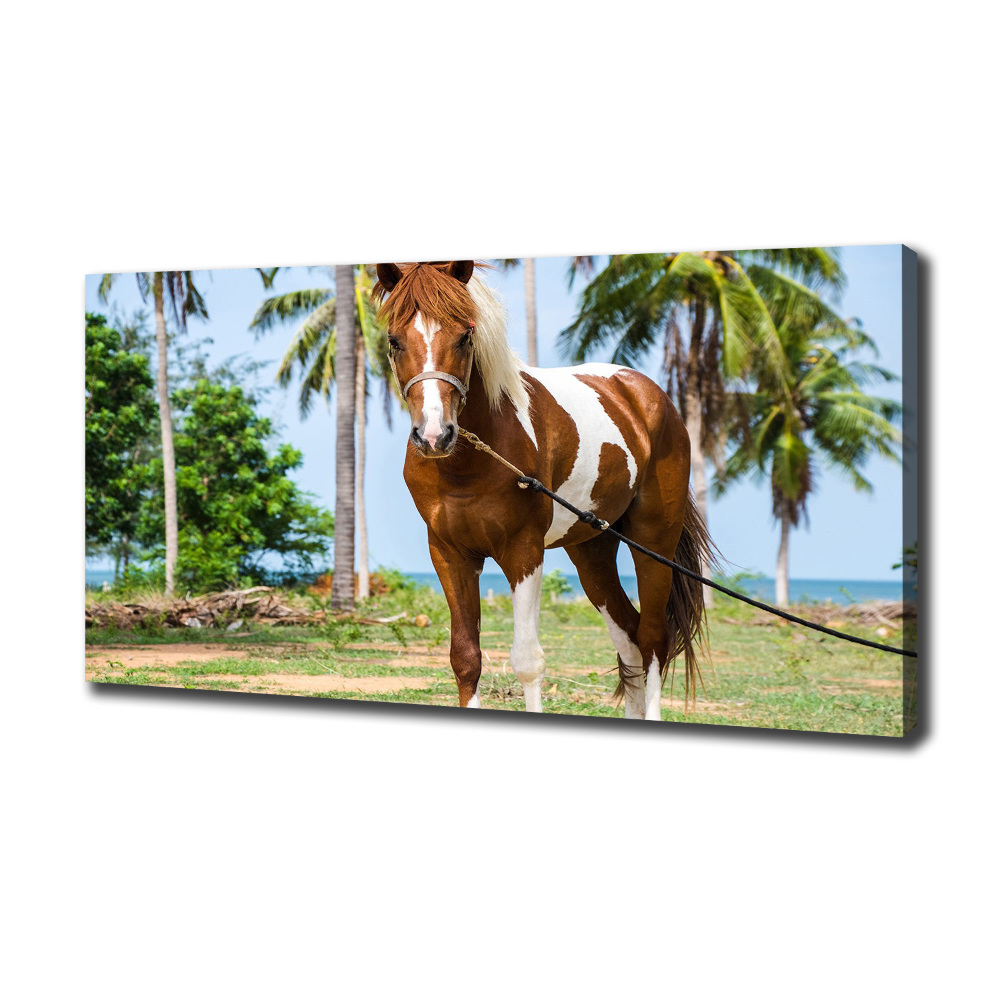 Canvas wall art Spotted horse