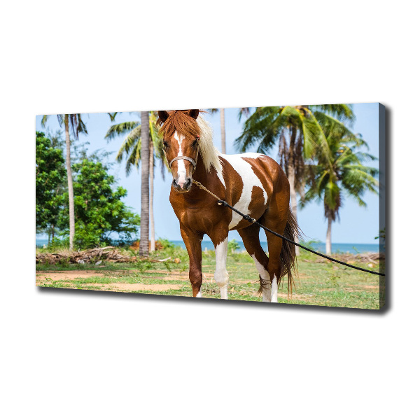 Canvas wall art Spotted horse