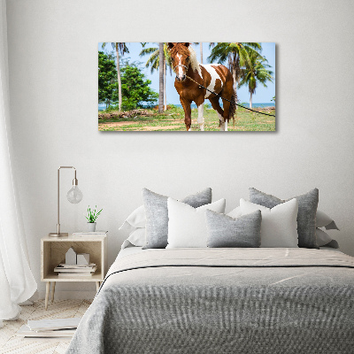 Canvas wall art Spotted horse