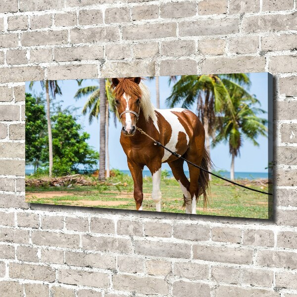 Canvas wall art Spotted horse