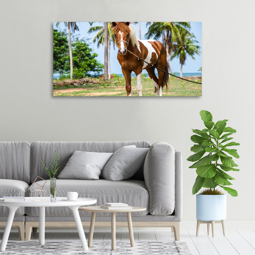 Canvas wall art Spotted horse