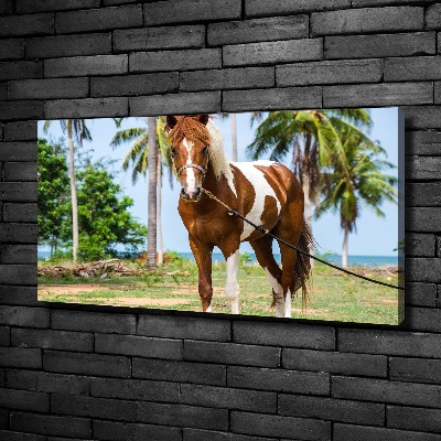 Canvas wall art Spotted horse