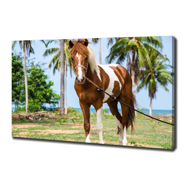 Canvas wall art Spotted horse