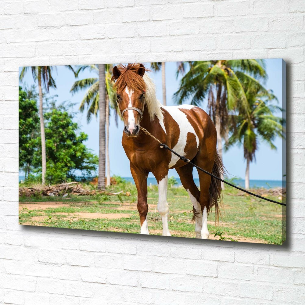 Canvas wall art Spotted horse