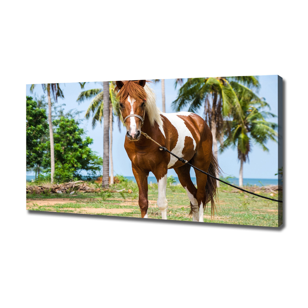 Canvas wall art Spotted horse