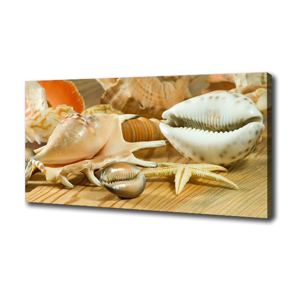 Canvas wall art Shells on wood