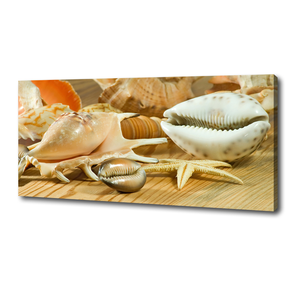 Canvas wall art Shells on wood